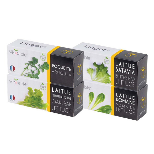 Veritable Lettuce Lingots, 4-Pack