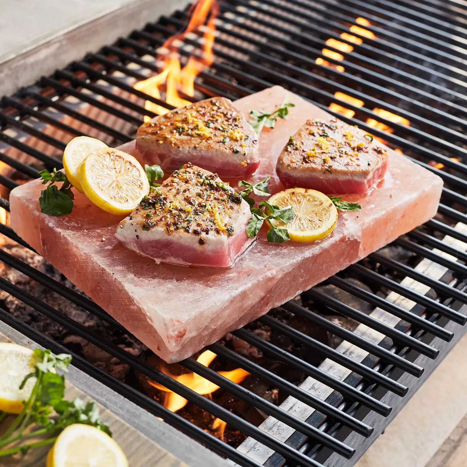 Sur La Table Himalayan Salt Block