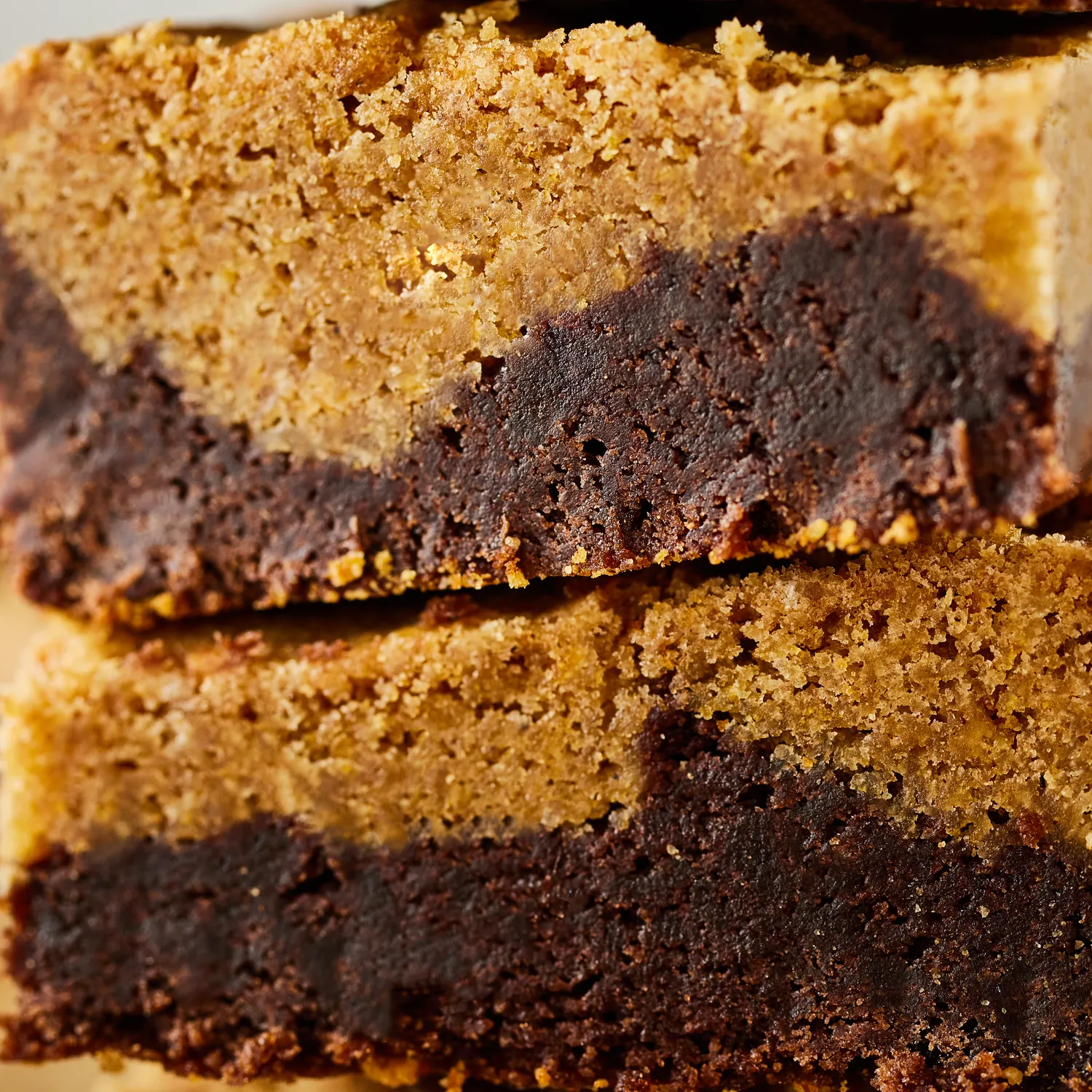 Sur La Table Pumpkin Brookie Mix