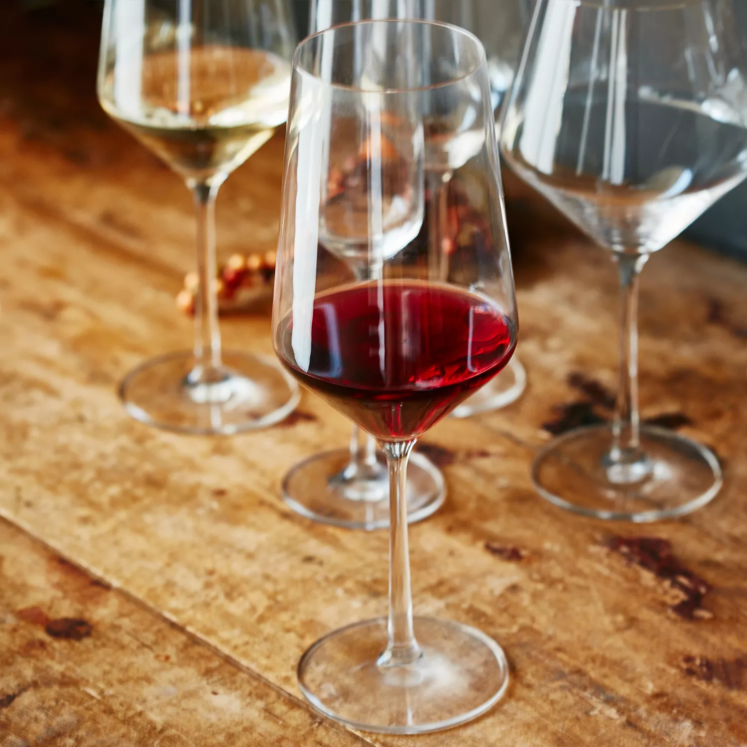 Schott Zwiesel Pure Full-Bodied Red Wine Glass