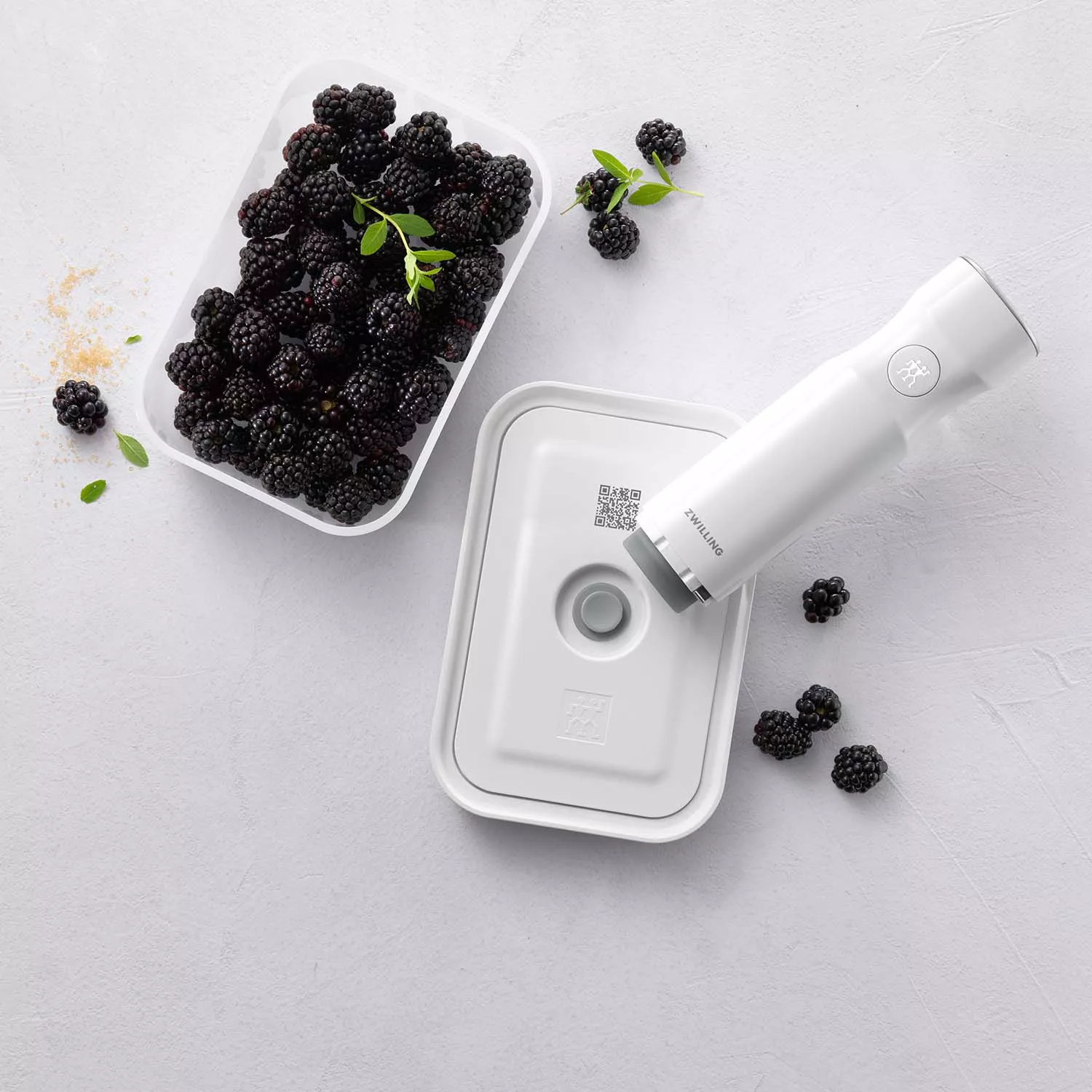 Zwilling Fresh & Save Small Vacuum Lunch Box, Plastic