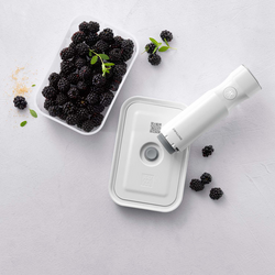 Zwilling Fresh & Save Small Vacuum Lunch Box, Plastic