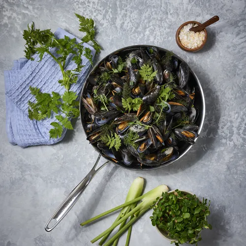 Scanpan Fusion 5 Stainless Steel Skillet