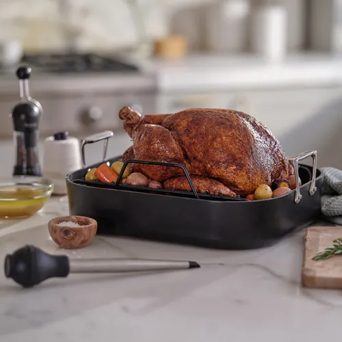 All-Clad HA1 Expert Nonstick Roaster w/ Rack