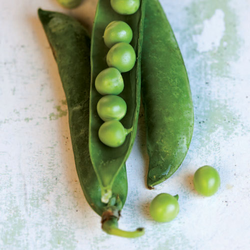 Sweet Peas with Bacon and Wild Onions