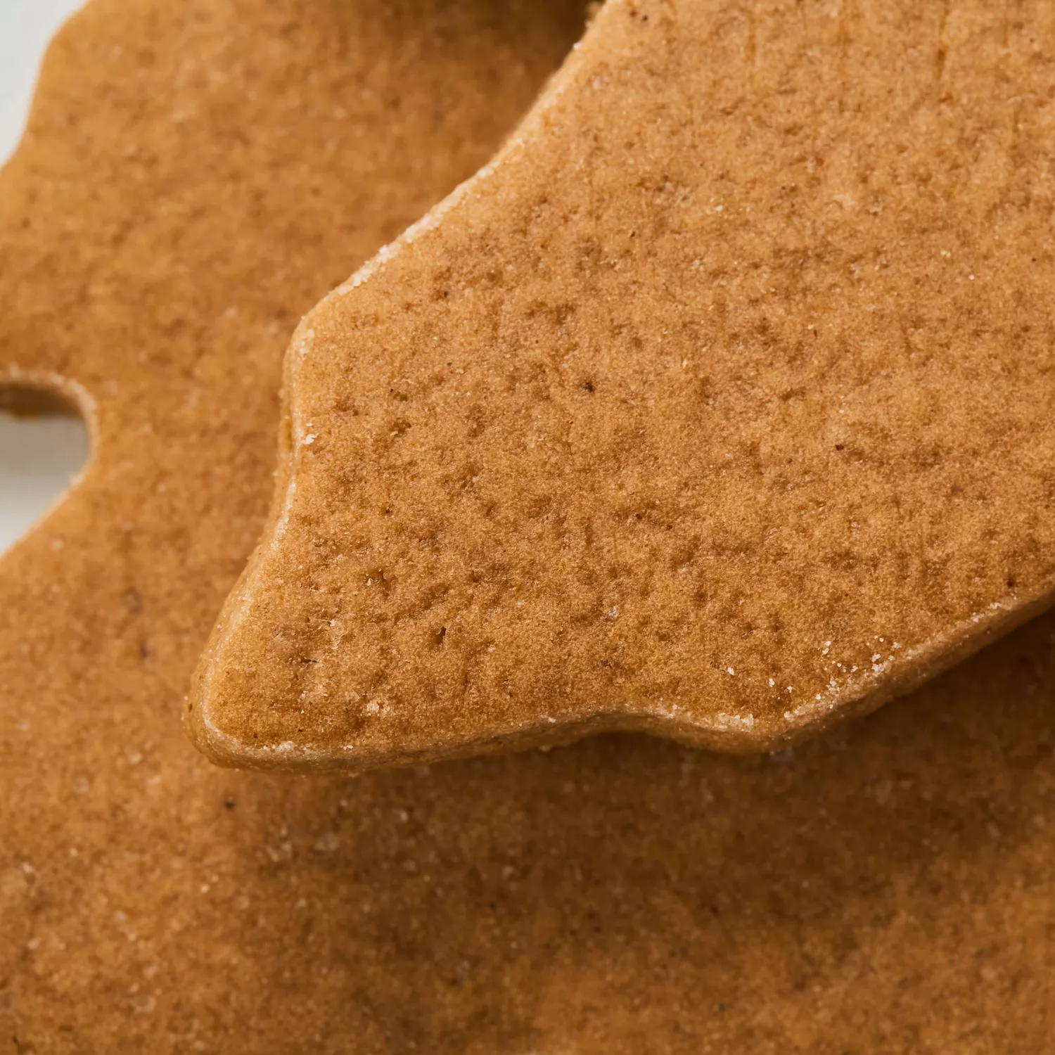 Sur La Table Gingerbread Cookie Mix