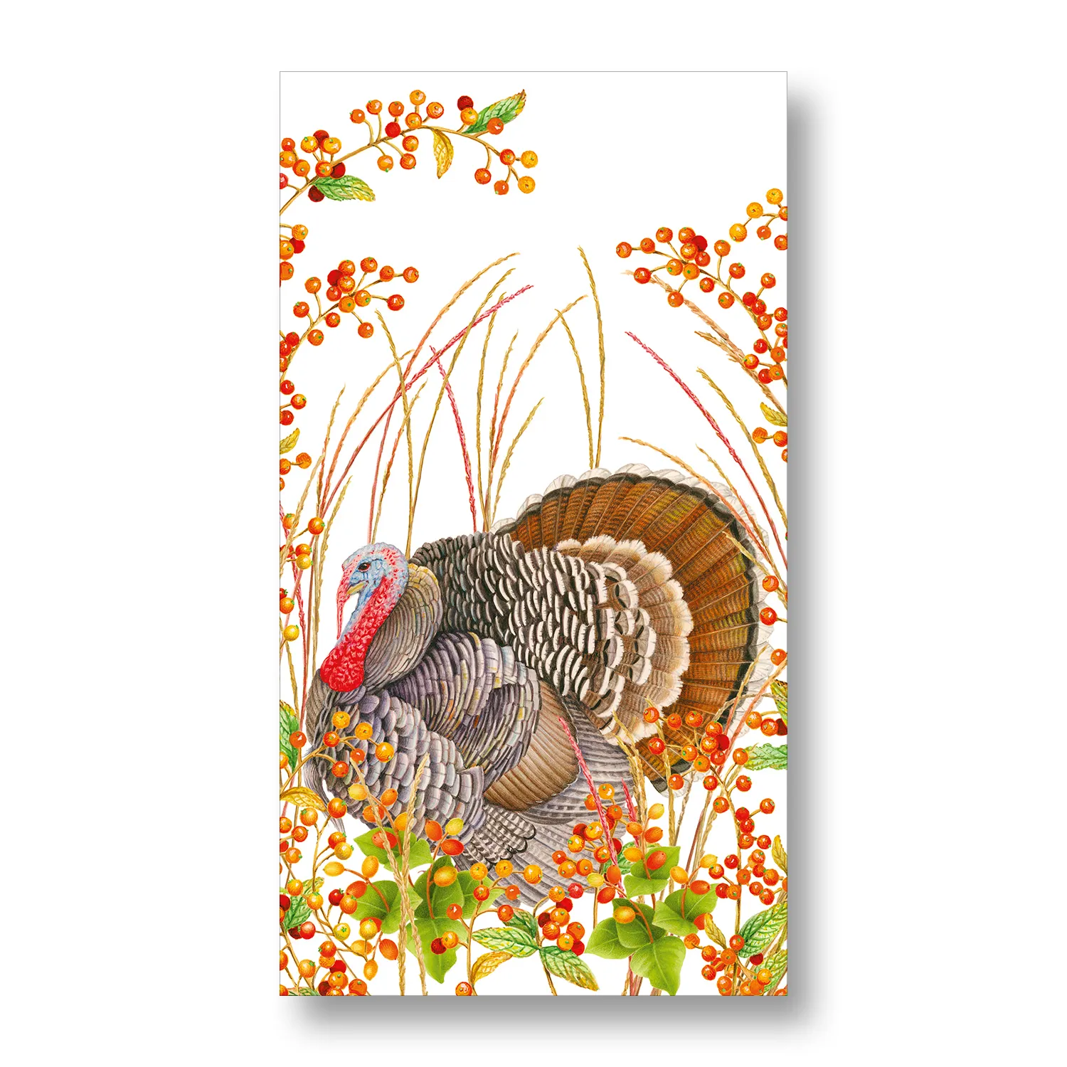 Caspari Turkey & Berries Cocktail Napkins, Set of 20