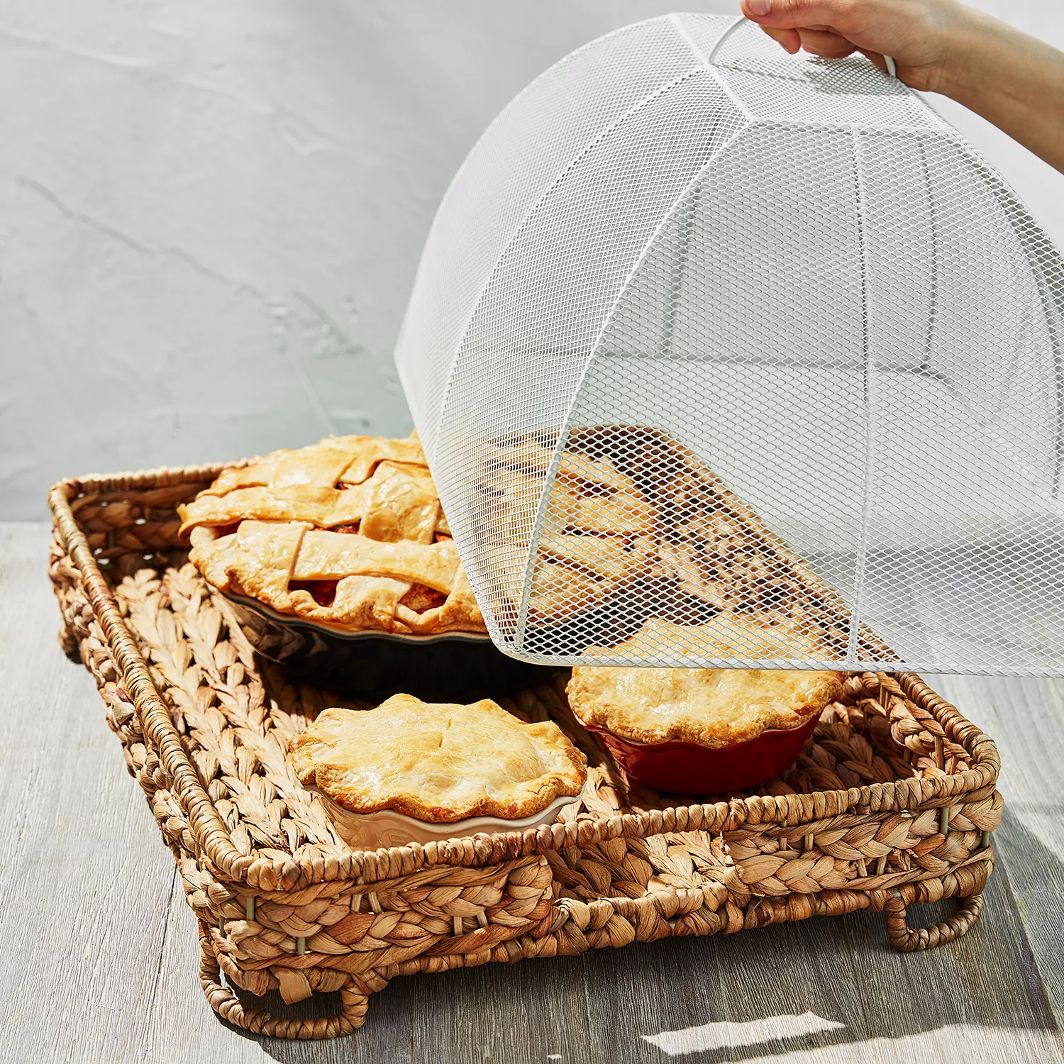 Sur La Table Water Hyacinth Food Dome and Tray