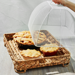 Water Hyacinth Food Dome and Tray