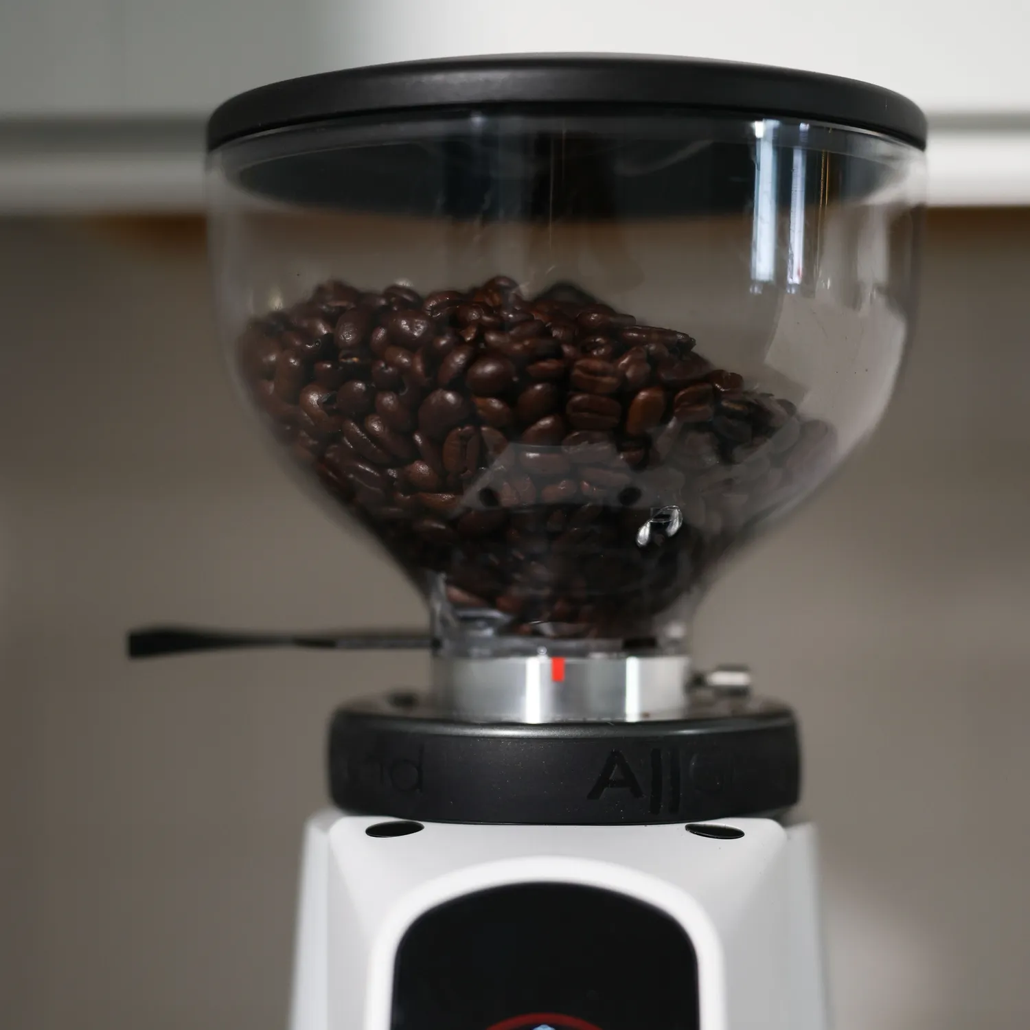 Fiorenzato Allground Sense All-Purpose Home Espresso Grinder