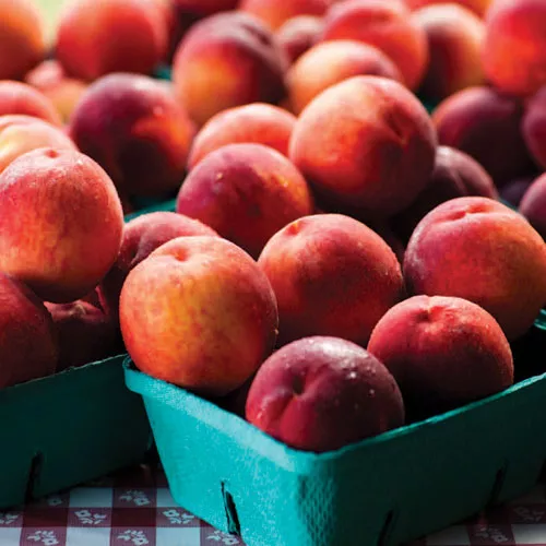 Sweet Peach&#44; Cherry&#44; and Apricot Desserts