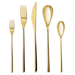 Fortessa Dragonfly Flatware Set, 5-Piece Set Rock star flatware