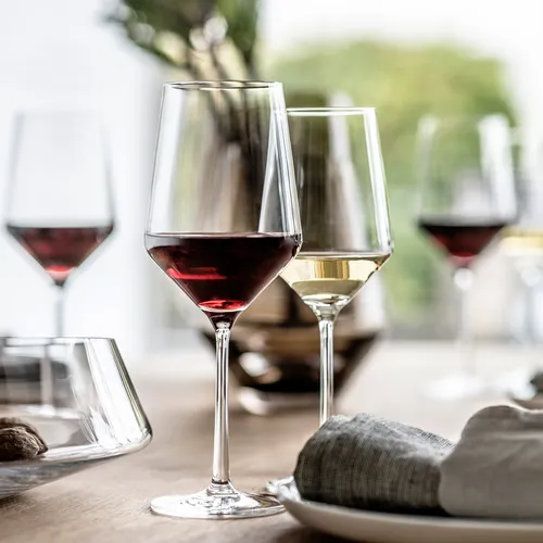 Schott Zwiesel Pure Light-Bodied White Wine Glass