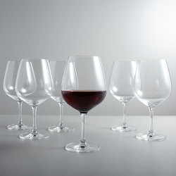 Schott Zwiesel Congresso Red Wine Glasses, Set of 6