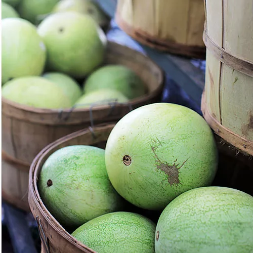 Olive Oil Cake with Cantaloupe and Honeydew Cubes