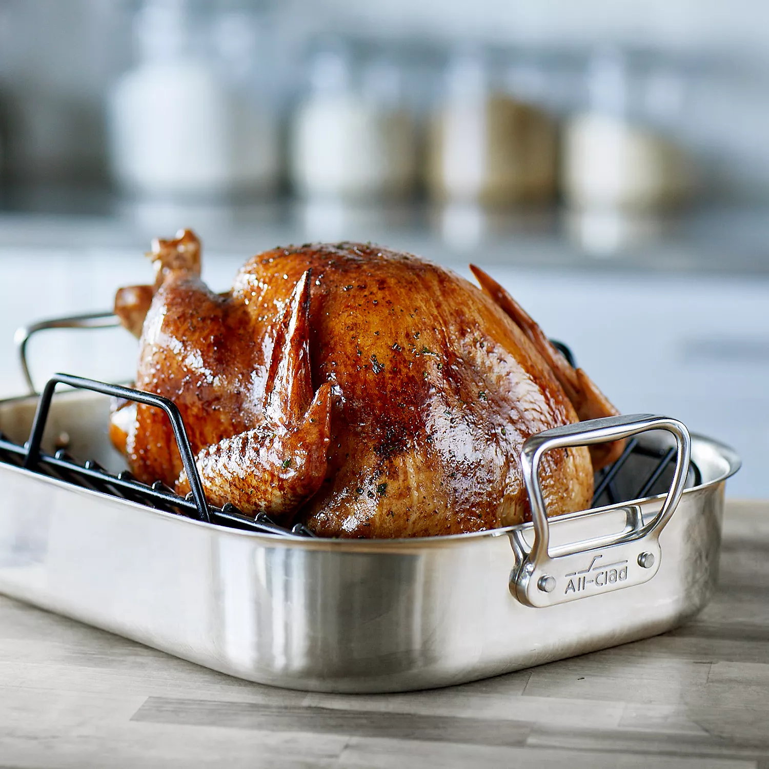 All-Clad Stainless Steel Roasting Pan with Nonstick Rack