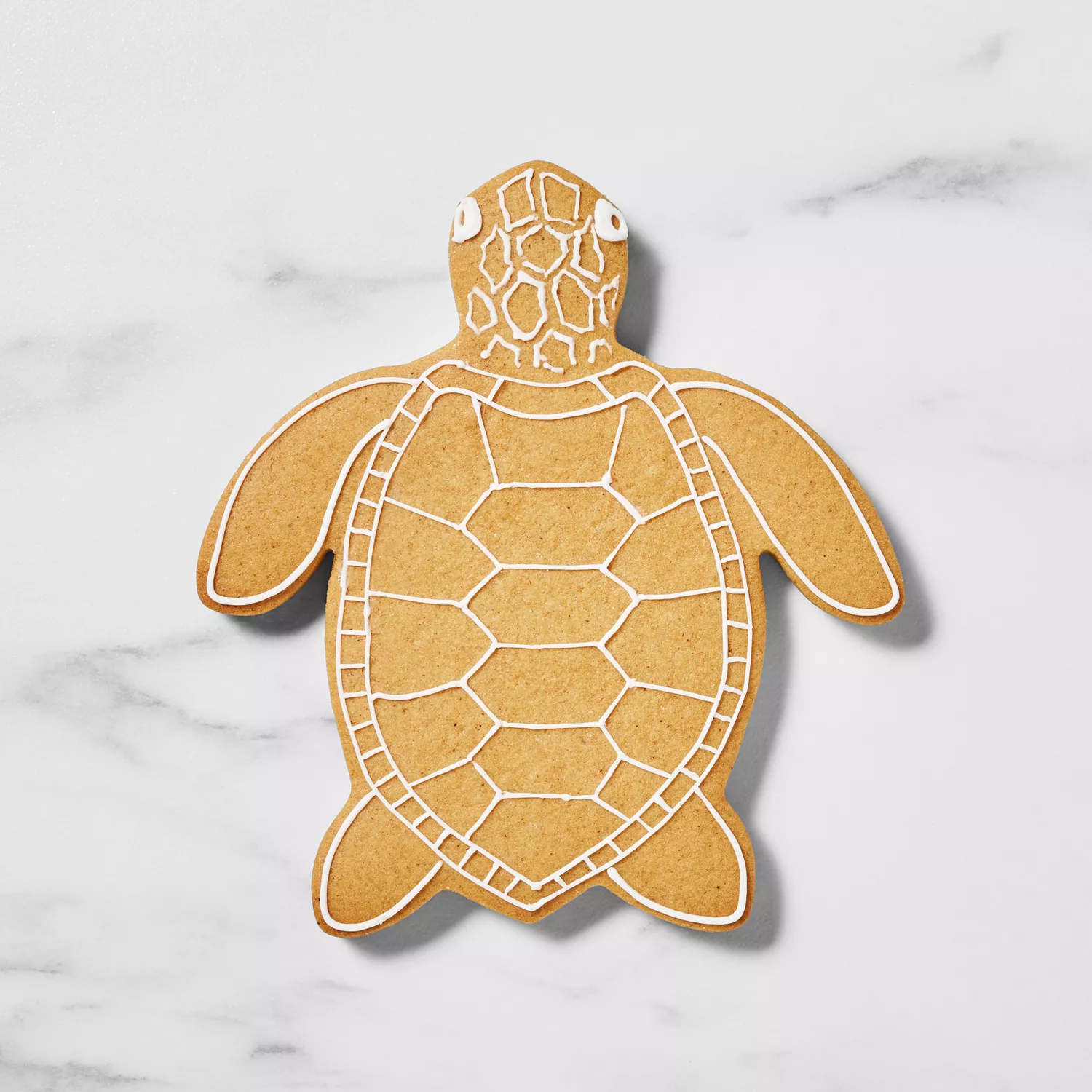 Sur La Table Sea Turtle Cookie Cutter