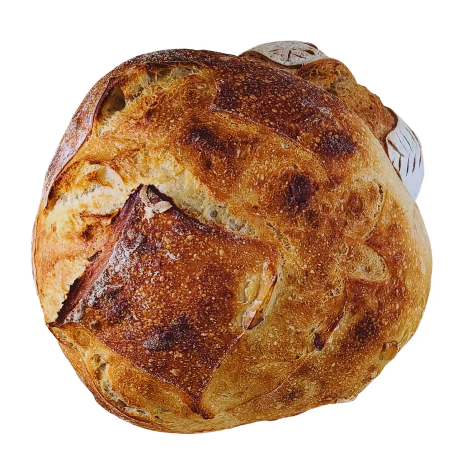 Gaston's Bakery French Boule Loaves, Set of 4 