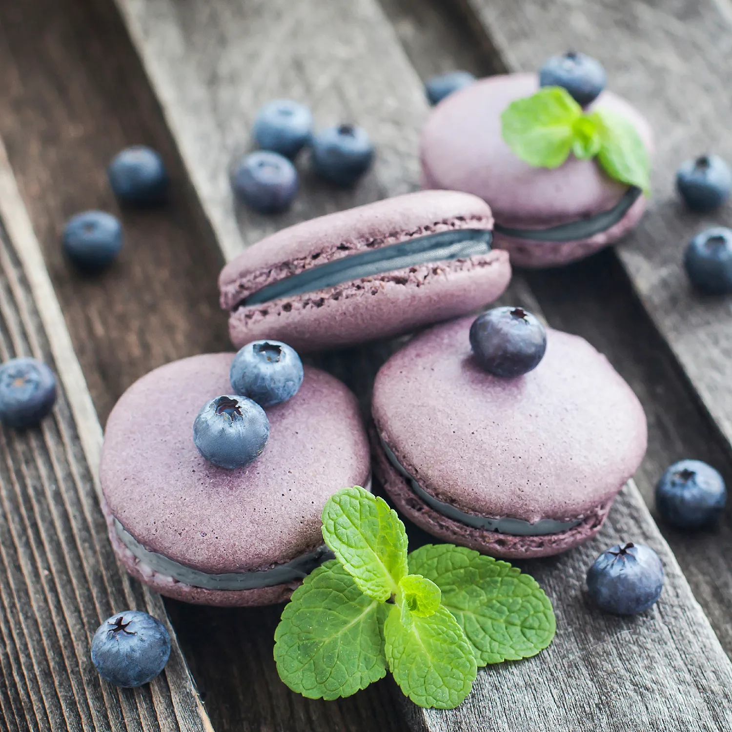 Online Focus Series: Blueberry Cheesecake Macarons (Eastern Time) Cooking Class - via Zoom, - | Sur La Table