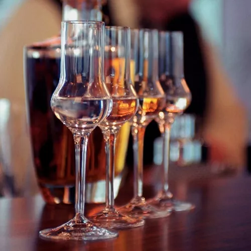 Schott Zwiesel Grappa Glass, Set of 6