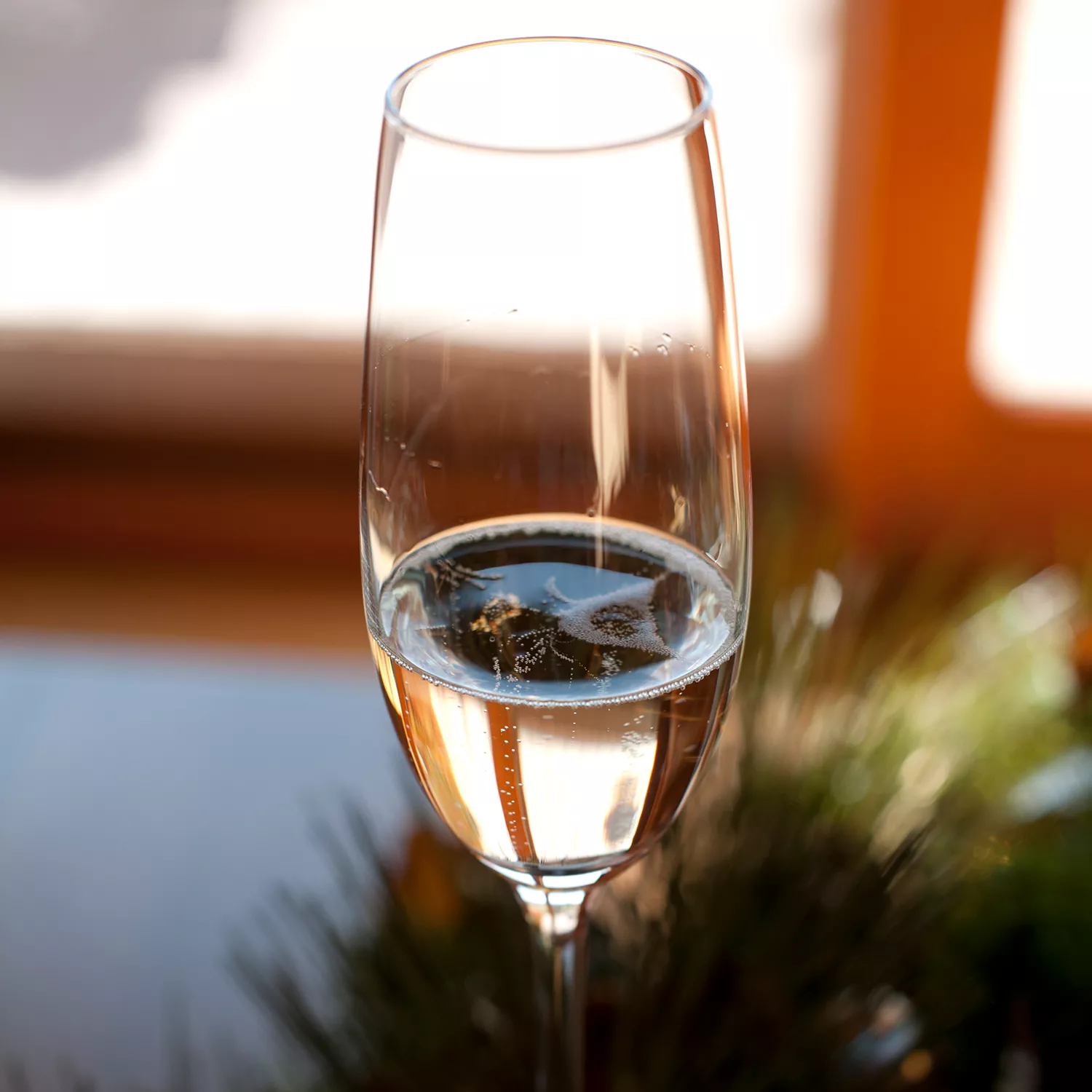 Schott Zwiesel Forte Champagne Glasses, Set of 6