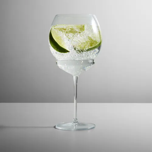 Luigi Bormioli Backdoor '20s Gin & Tonic Cocktail Glass