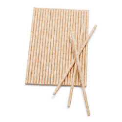 Sur La Table Birch Paper Straws, Set of 25