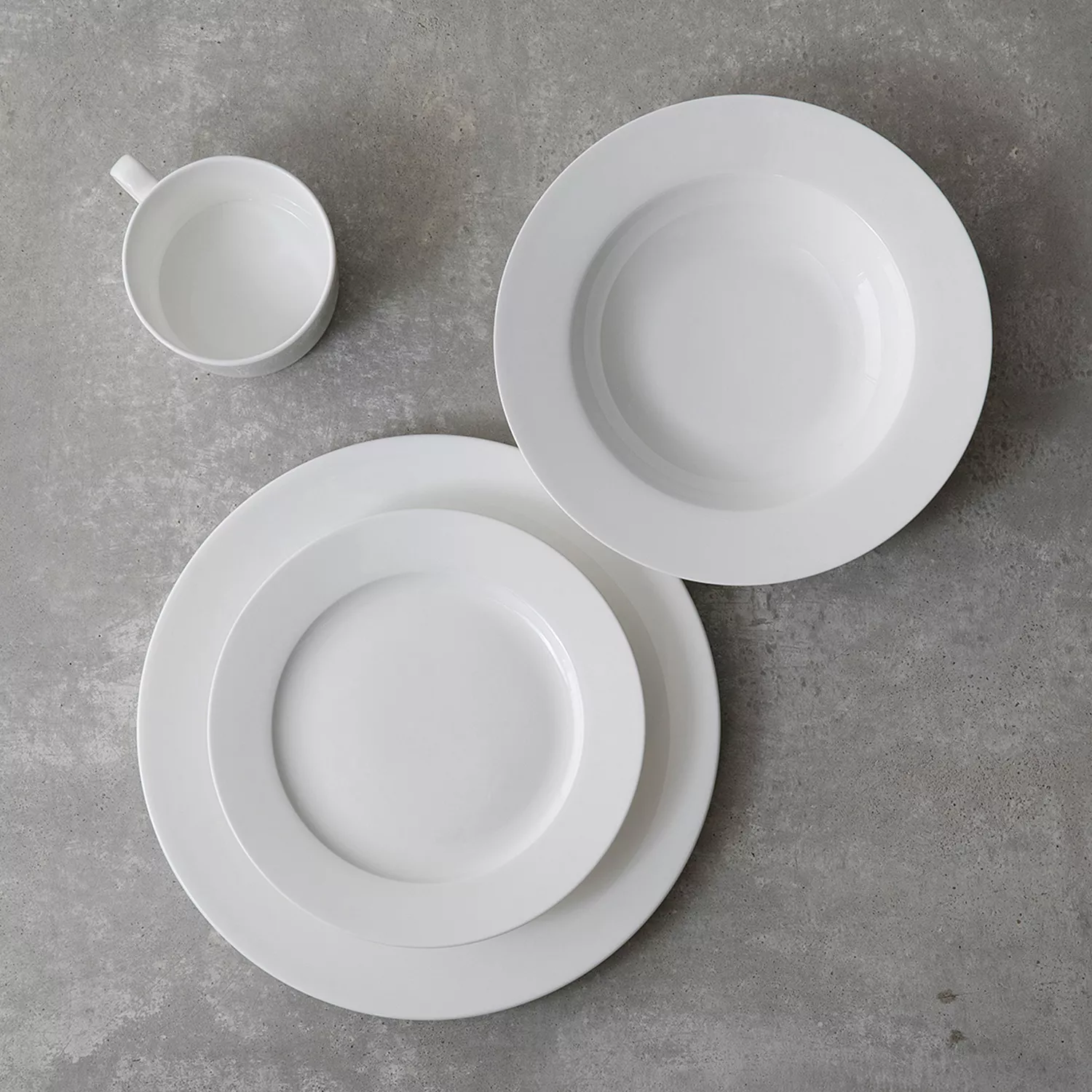 Fortessa Gourmet Essentials Bone China Classic Dinner Plates, Set of 4