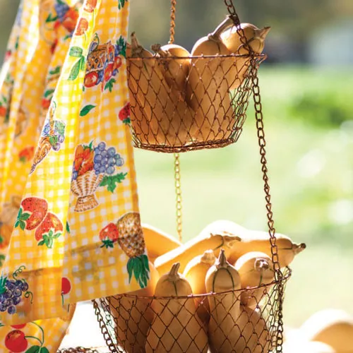 Spicy Red Lentil Soup with Mustard Greens and Butternut Squash