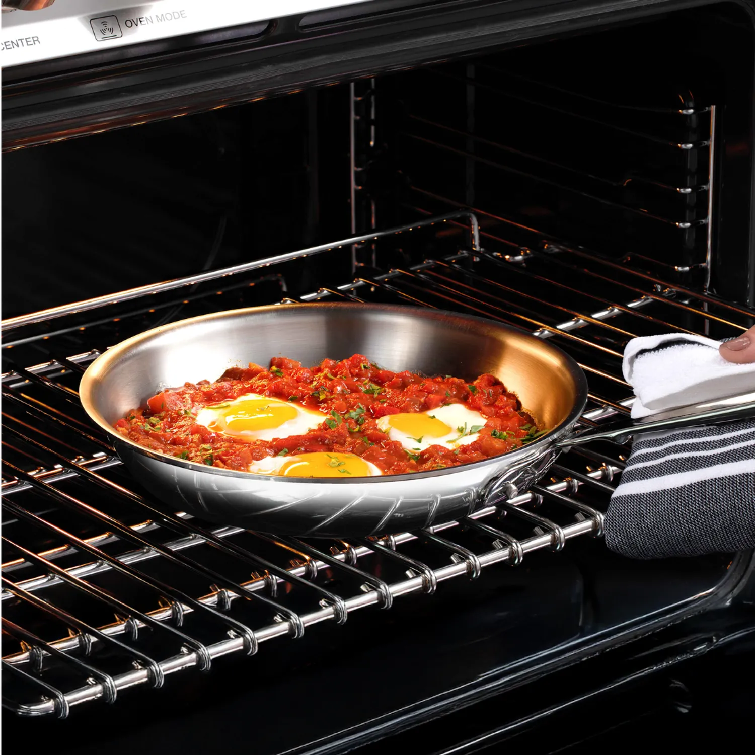 All-Clad D3 Stainless Steel Skillet