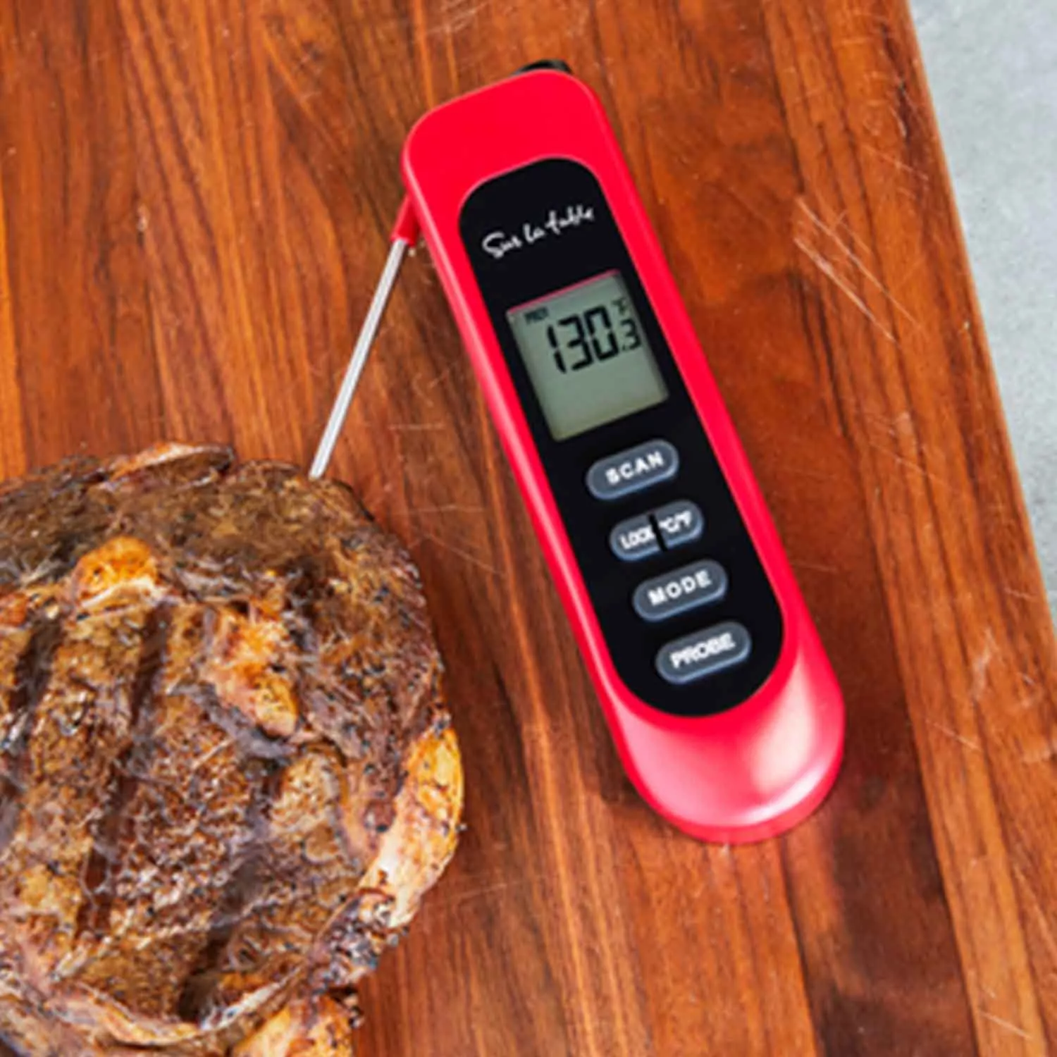 Sur La Table Stainless Steel Steak Button Thermometers