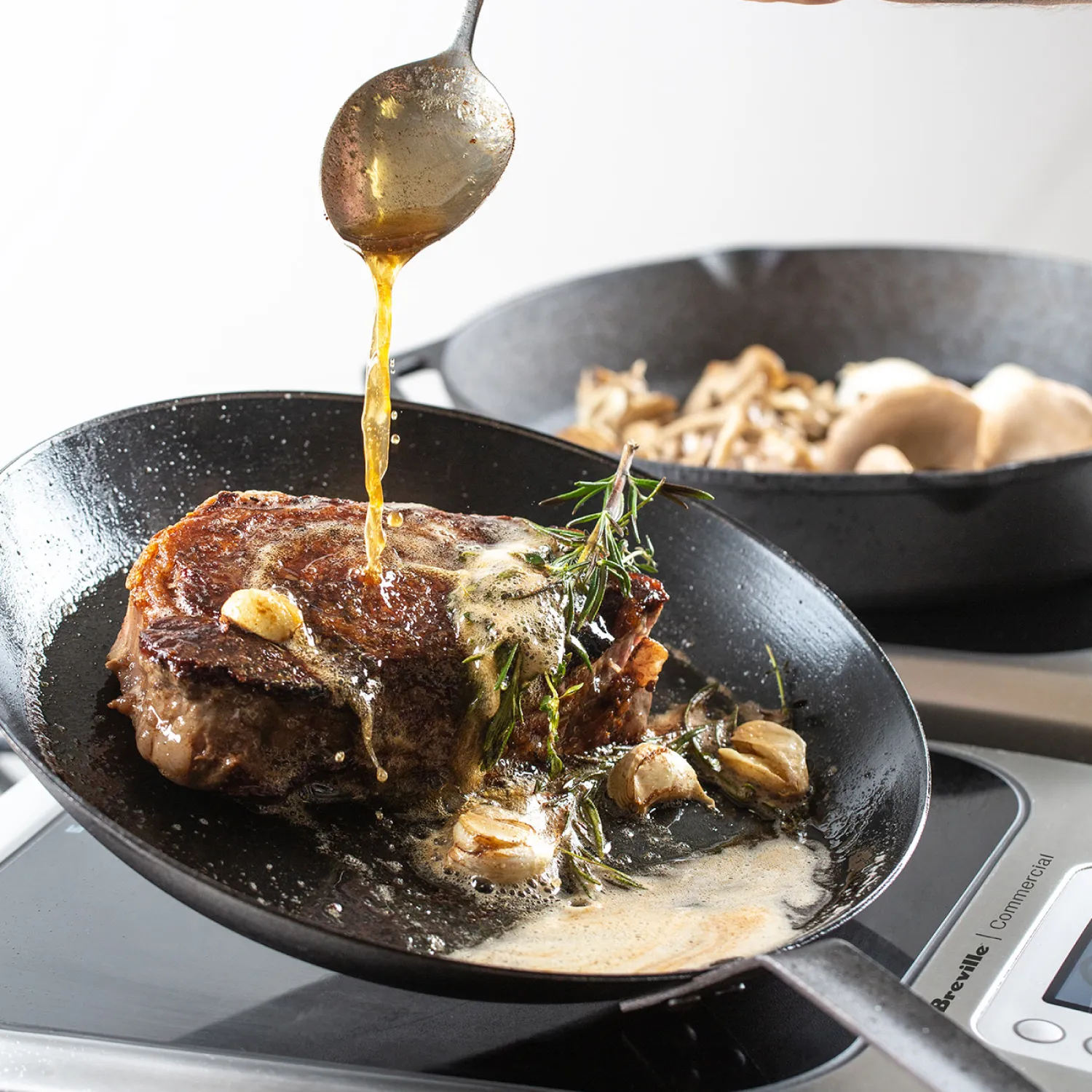 Breville Control Freak Induction Cooker