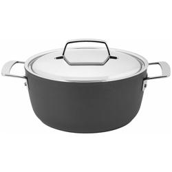 Demeyere Alu Pro5 Aluminum Nonstick Dutch Oven with Lid Best Pots