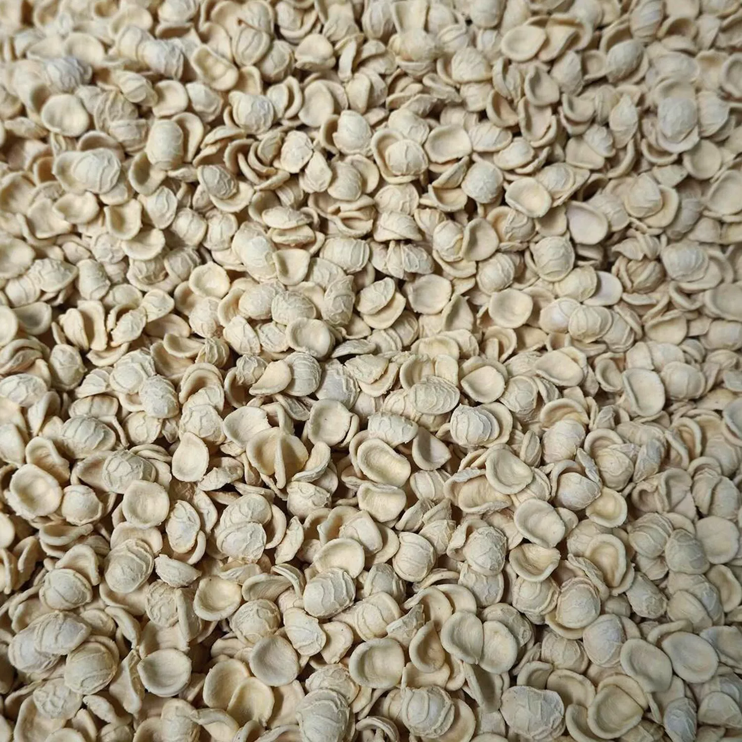 Morelli Orecchiette Pasta