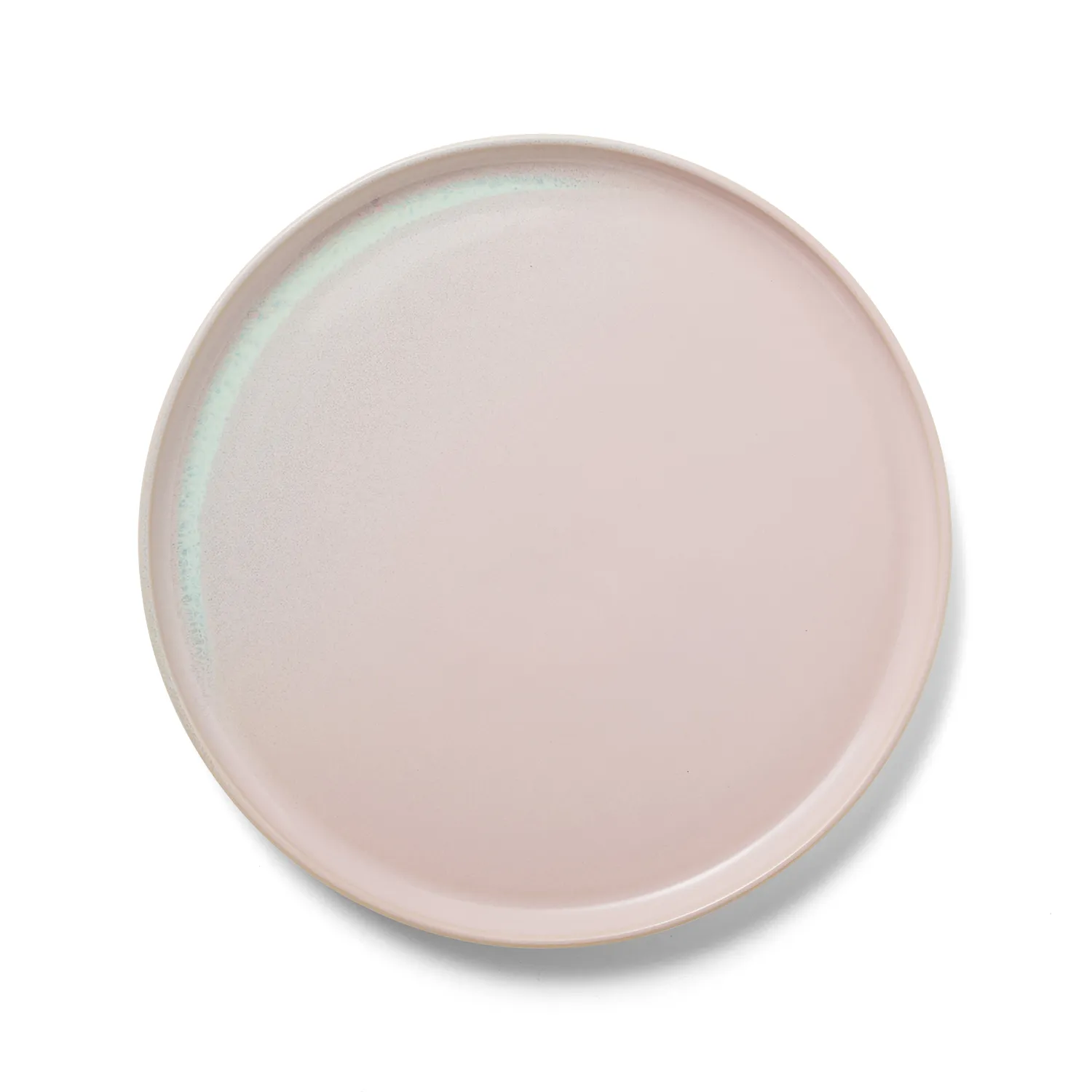 Sur La Table Solstice Dinner Plate