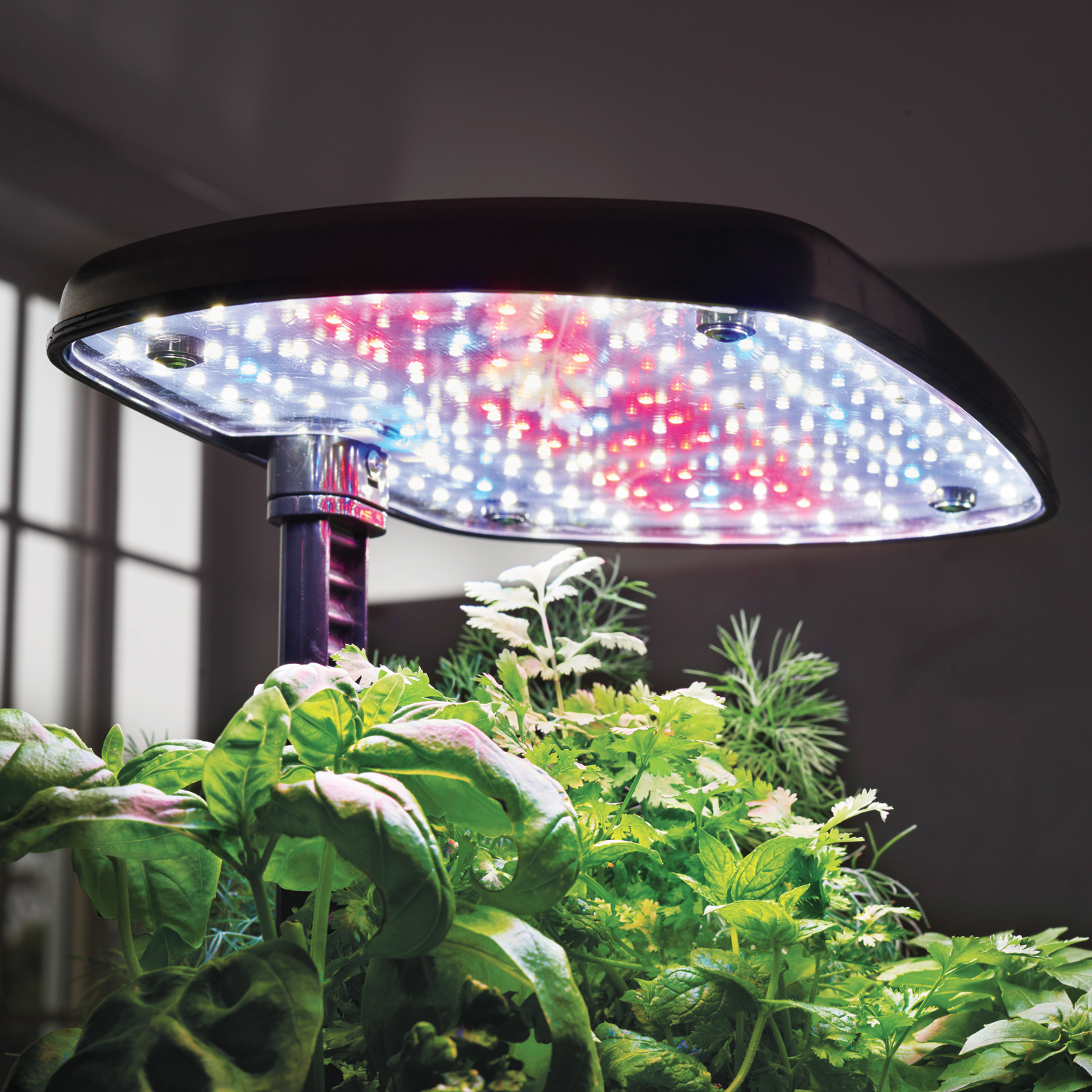AeroGarden Harvest Elite WiFi with Gourmet Herbs Seed Pod Kit
