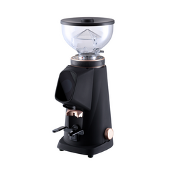 Fiorenzato Allground All Purpose Home Coffee Grinder