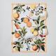 Summer Kitchen Towels