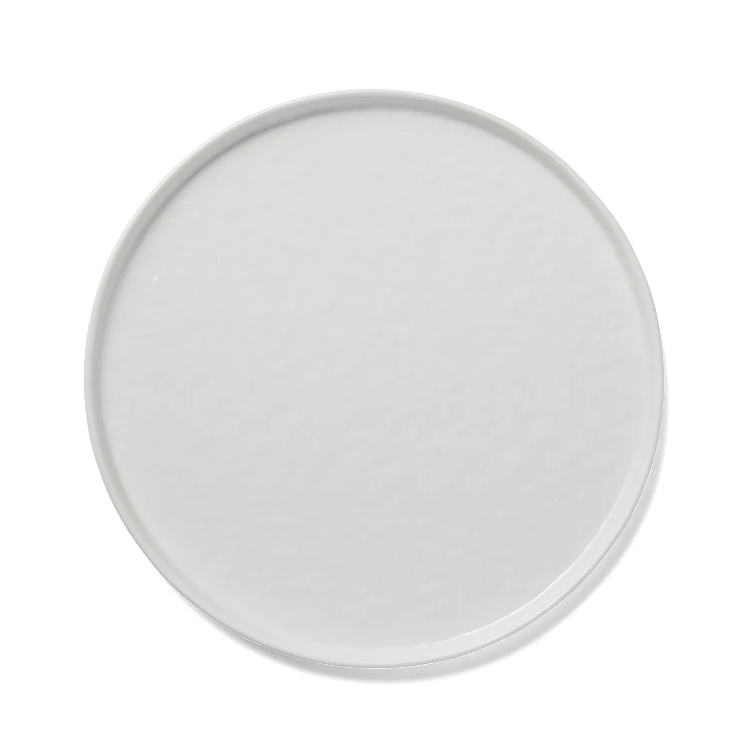 Sur La Table Coupe Dinner Plate - Set of 4