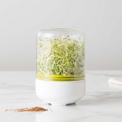 Chef&#8217;n Sproutster: Countertop Sprouter