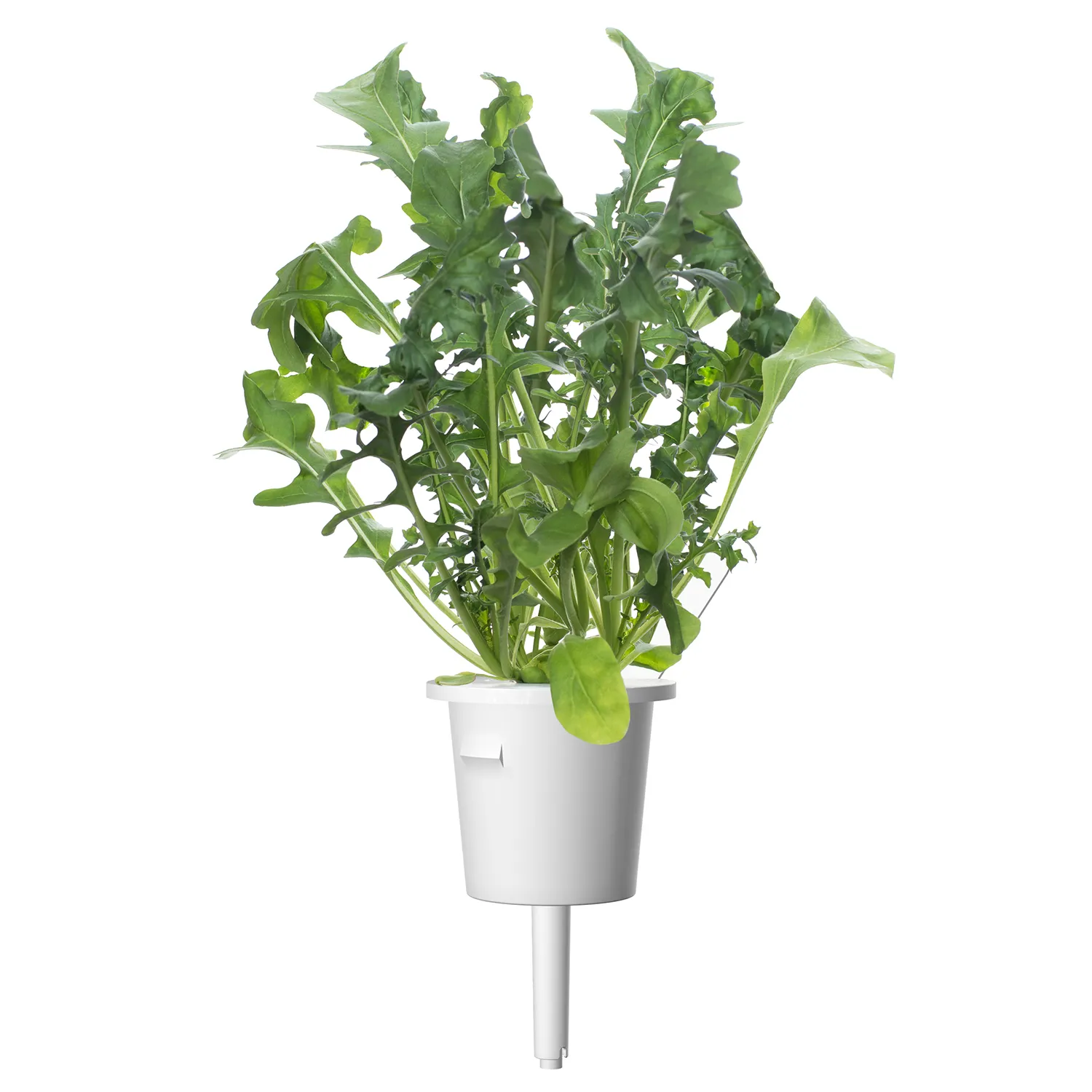 Click and Grow Plant Pods, 9 Pack