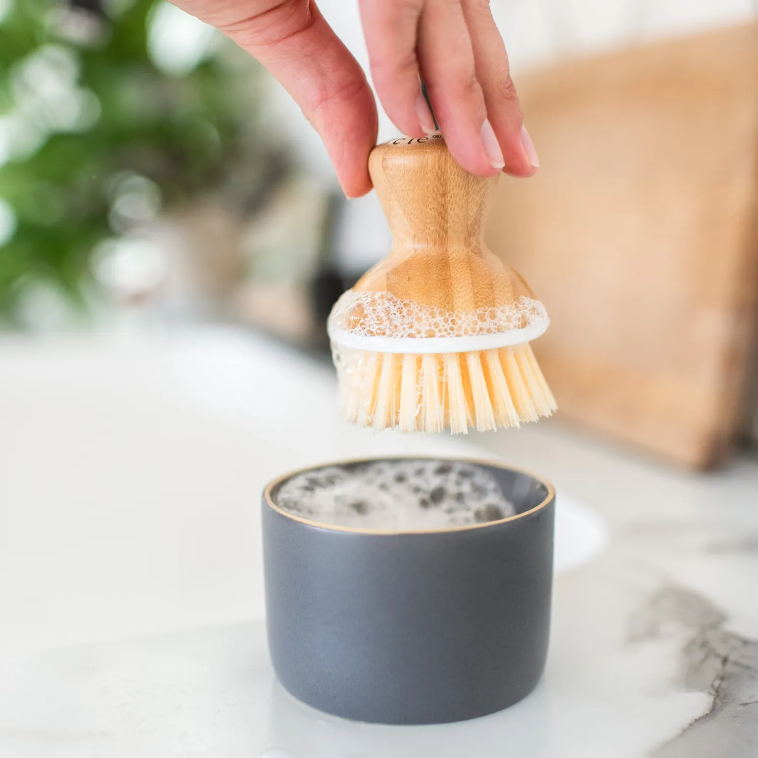 Full Circle Scrub Brush with Dish
