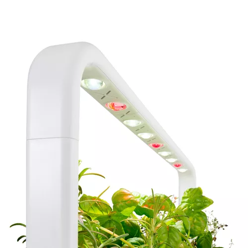 Click And Grow Smart Garden 9