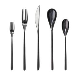 Fortessa Dragonfly Flatware Set, 20-Piece Set