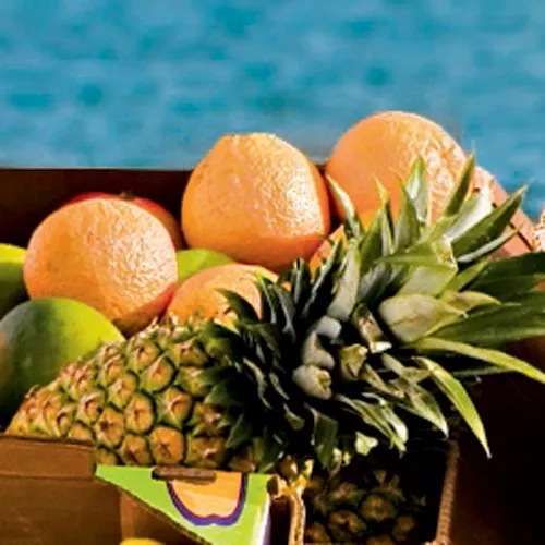 Fruit Combo Smoothie