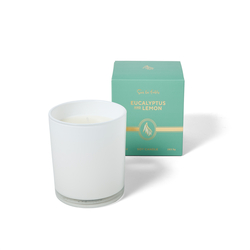 Sur La Table Eucalyptus & Lemon Candle