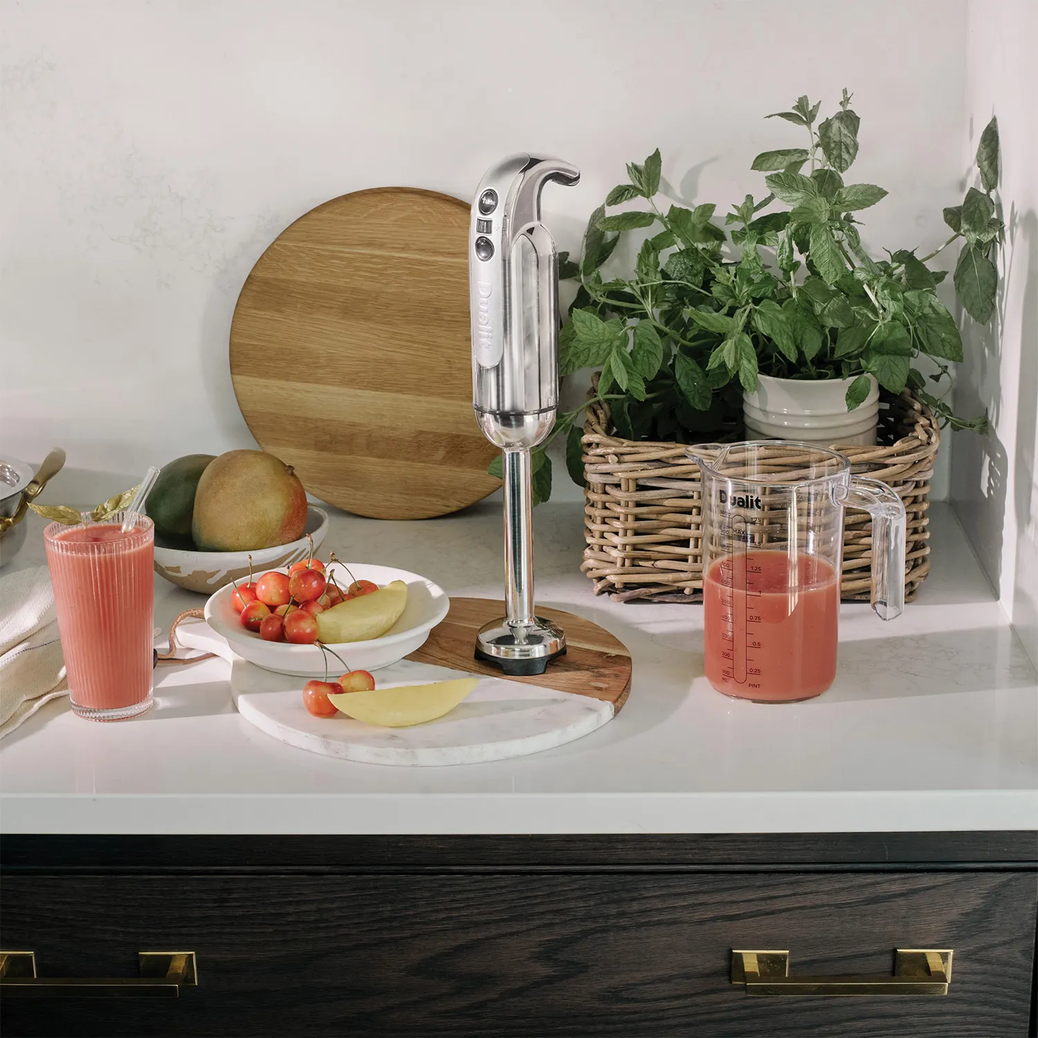 Dualit Hand Blender with Accessories