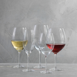 Schott Zwiesel Cru Classic Light-Bodied White Wine Glasses, Set of 6