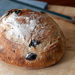 Whole Wheat Country Bread with Olives and Rosemary