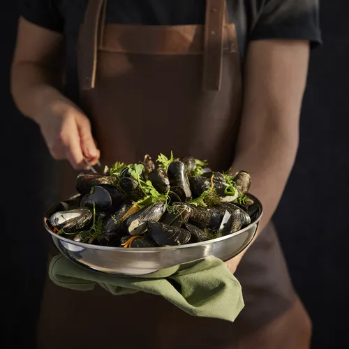 Scanpan Fusion 5 Stainless Steel Skillet